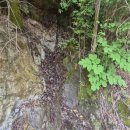 단지상가빌리지공인중개사사무소 | 고급빌리지 단지내 은퇴 부부를 위한 맞춤형 전원주택