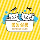 봄동살롱 이미지