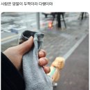 강아지 산책시키는데 배변봉투 잊은 사람 이미지