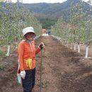 윤서농장 이미지