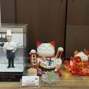 차이나 정향 이미지