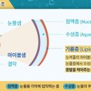 무등산약국 이미지