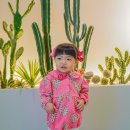 키아시스 이미지