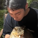 남헤어 네이버블로그