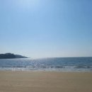 의항해수욕장 입구 이미지