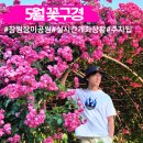 가음정사거리 습지공원 앞 | 창원 장미공원 5월 꽃구경 실시간 개화상황 주차팁
