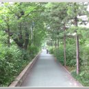 [7월 6일(월요일)]서달산~국사봉~보라매공원 트래킹 이미지