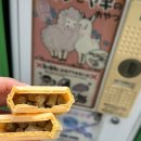 꽃이 피고 비가 내리면 | 후쿠오카 우미노나카미치 해변공원 자전거 데이트