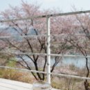 에브리선데이커피부용점 이미지