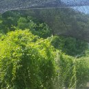 석진 농장 이미지