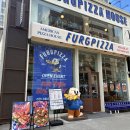 애견의 집 | 신림역 피자 맛집 [퍼그피자하우스 신림점] 애견동반 피자집 내돈내산 후기 (오픈 50% 할인)