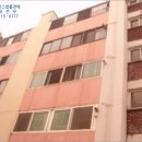 사파동407 이미지