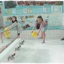 행복목욕탕 이미지