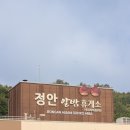 정안 주유소 이미지