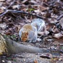 하나로세탁 이미지