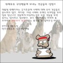 만개한 매화꽃 속 상춘객 이미지