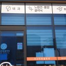 삼화우수한동물병원 네이버블로그