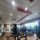 움 Gym | 가산pt/헬스 - 찐 후기 맛집, 움GYM입니다