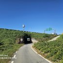 의석농장 이미지