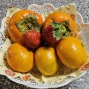 사계절청과 이미지