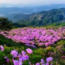 산그리메 이미지