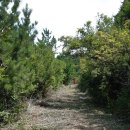 사천고등학교 이미지