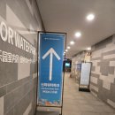 월드파크 | 제주 신화월드 워터파크 내돈내산 솔직후기