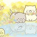 네코마켓 - 광주시 태봉로 145-2 | 네코마켓