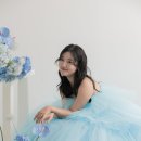 [공지] W.일반인이 웨딩스냅, 플라워디렉팅, 드레스 무료로 준비하는 방법, 장단점 (광고x, 인플루언서...