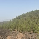 Skip the C | 테네리페 여행 2일차 : 테이데산 케이블카, 기간테스 해수욕장