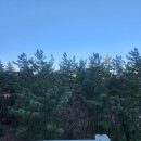 GS25방이시장점 | 고성 오션투유리조트 포레스트뷰 스위트 재방문 후기