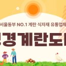 계란도매할인매장 네이버블로그