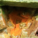 개인약수 이미지