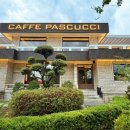 파스쿠찌 센트로광안리점 이미지