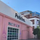 피치스주유소 빙고점 이미지