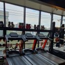 홍성Y복싱클럽 이미지