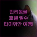 룽청 | 반려동물과 함께 떠나는 타이위안 여행! 펫 프렌들리 호텔 추천
