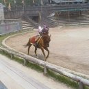 마상공연장 이미지