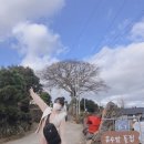 유수암돌집 민박 | 제주 애월 유수암돌집 : 내집처럼 편안한