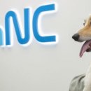 강아지 대통령 이미지