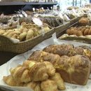 석기사랑 이미지