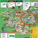 파이어코리아 | 랜드] 레고시티 내 놀이기구 (보트. 레이싱. 웨이브레이서. 파이어 아카데미) / 레고랜드 앱 지도 보기 팁