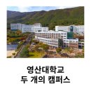 영산대학교(양산) 기술창업대학원 | 영산대학교: 두 개의 캠퍼스, 무한한 가능성