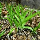 백양산 등산로 이미지