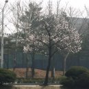 구지공원 이미지