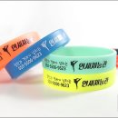 연세체능관 이미지