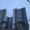 배정약국 이미지