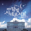 담빛시네콘서트 이미지