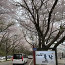 별헤는 몰랑 이미지