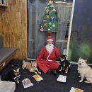 워니시티 이미지